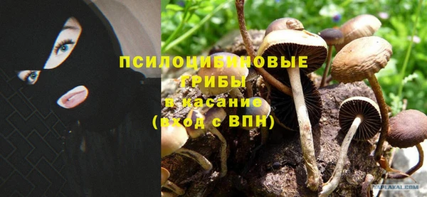 кокаин перу Абаза